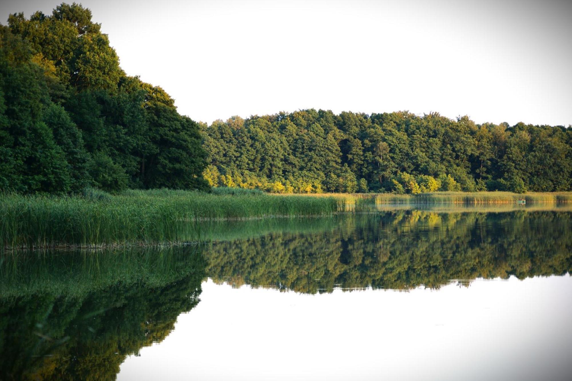Wrzosowy Mlyn - Twoje Miejsce Nad Jeziorem Międzyrzecz Exteriör bild